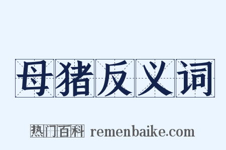 母猪反义词是什么意思的图片